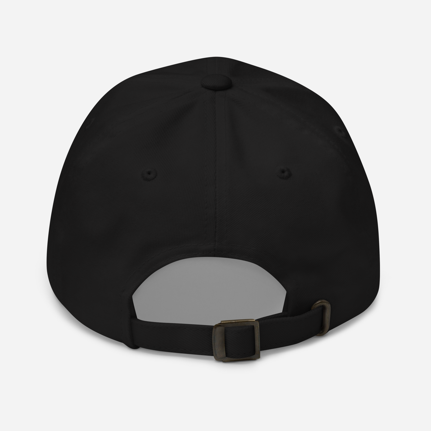 TNSS STAPLE - Dad hat