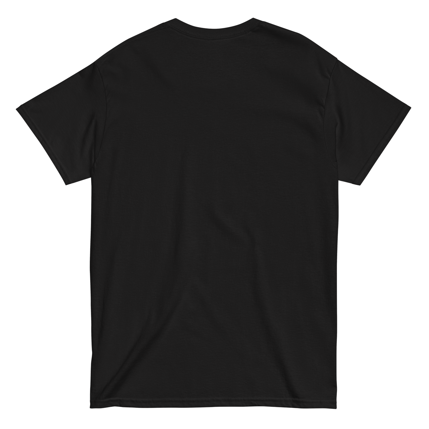 TNSS STAPLE - UNISEX classic tee