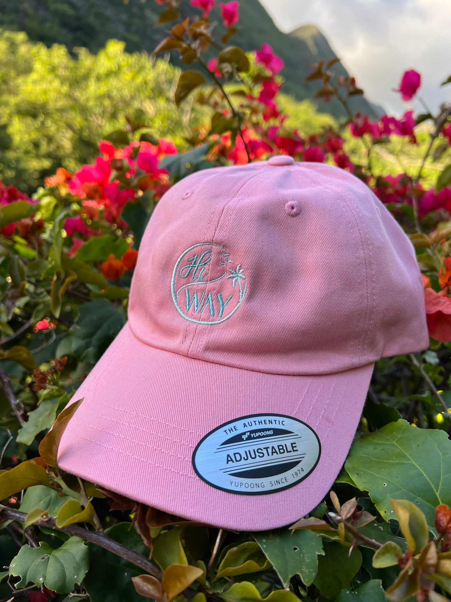 THE HIWAY - STAPLE Dad hat