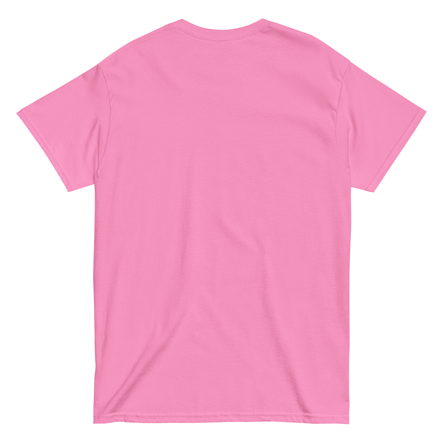 The Daily Mantras (Version 1) - UNISEX classic tee