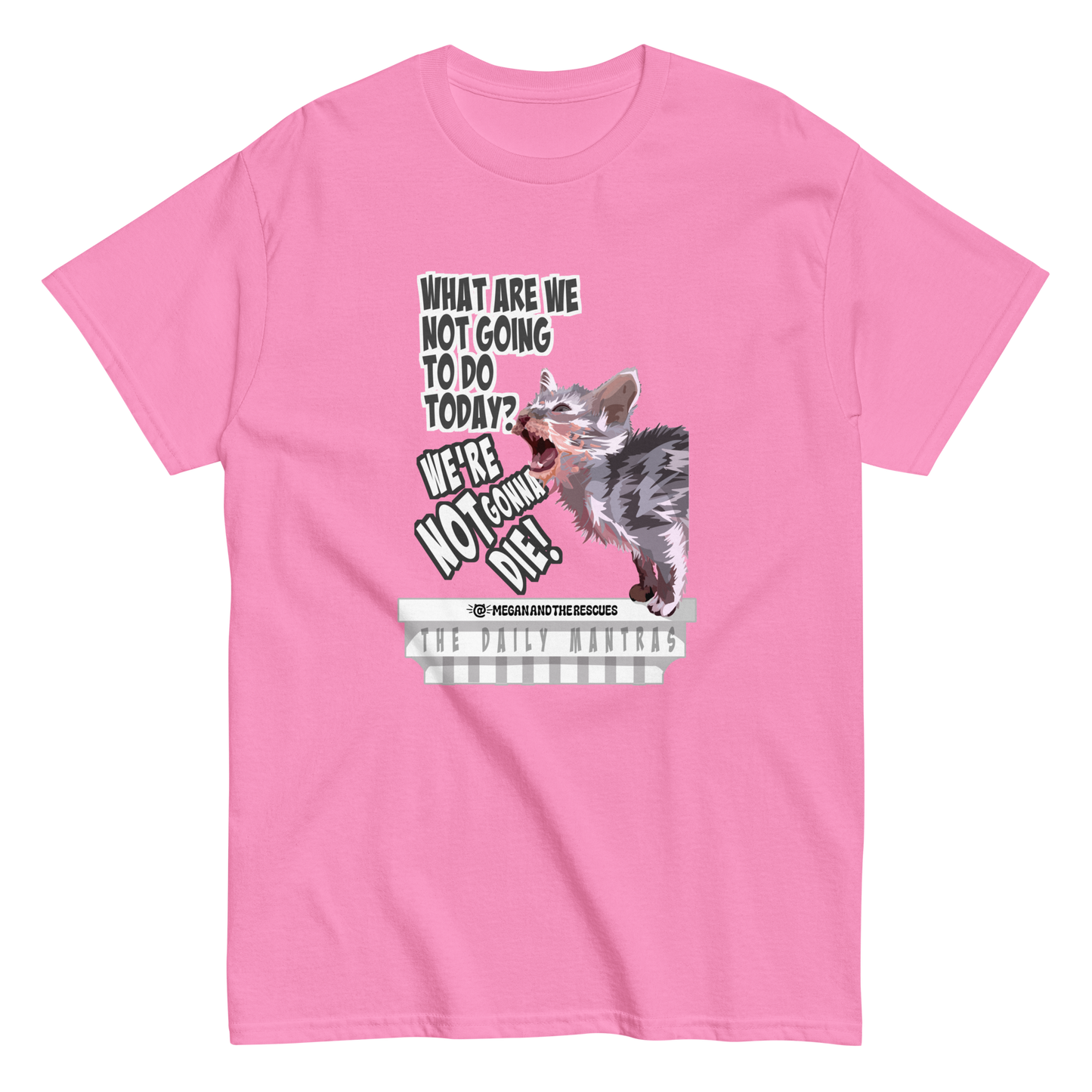 The Daily Mantras (Version 2) - UNISEX classic tee